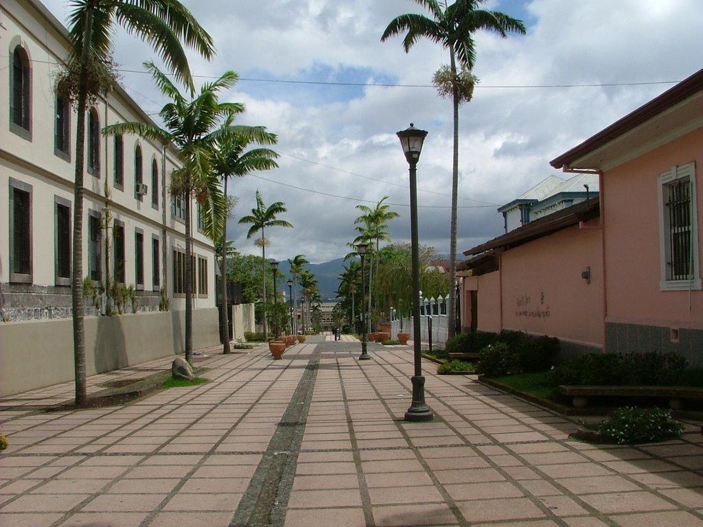 Hotel Bristol San José Exteriör bild